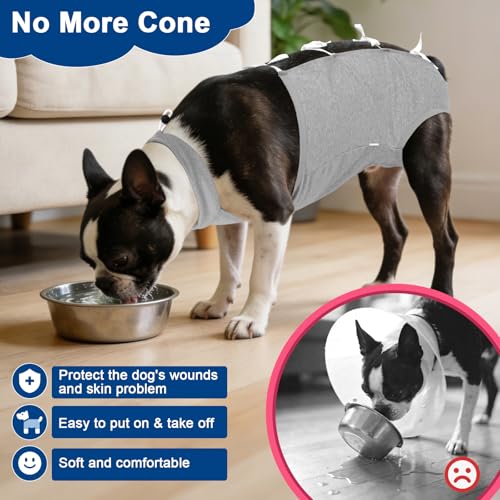 Image of BARKLESS Recovery Suit for Dogs, Soft Surgical Onesie for Female Spay | Breathable Cotton Body Suit for Dog After Surgery to Prevent Licking Abdominal Wounds, Cone Alternative (Grey, L)