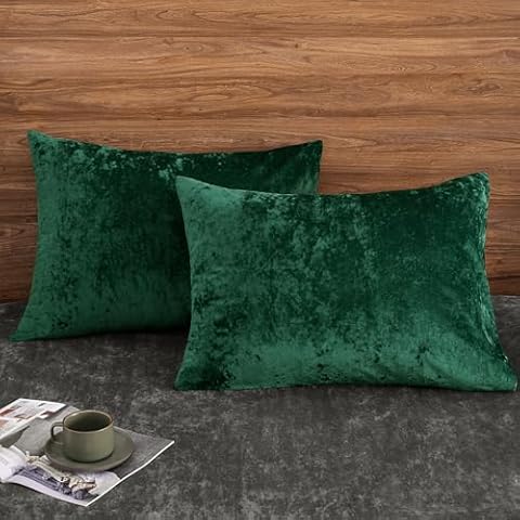 PHF Velvet Pillowcases 2 Pack 20" X 26" Cover