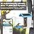 Smart Bird Feeder with Camera Solar Powered & Wireless Outdoor, HD Auto-Capture with Instant Alerts, Live Video Streaming via 2.4G WiFi, Weatherproof Auto-Recording Design, Gift for Bird Lovers