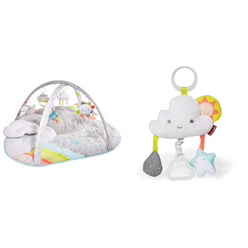 Amazon.com : Skip Hop Baby Play Gym and Infant Playmat