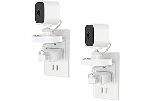 2-Pack Blink Mini Outlet Wall Mount: 360-Degree Swivel