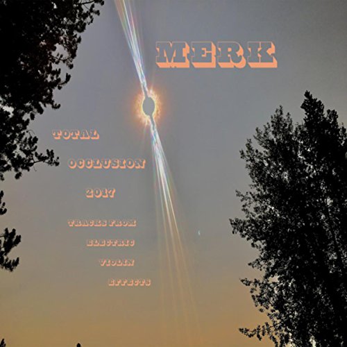 Electric Violin Effects 2017 Live Looping Brad Slate