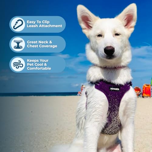 Image of Best Pet Supplies Voyager Adjustable Step-in Flex Breathable Mesh Dog Harness for Small Medium Large Dogs Leash Set (Purple), L
