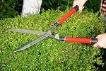 Corona HS 3950 Hedge Shear with Extendable Steel Handles, 10-Inch Blade