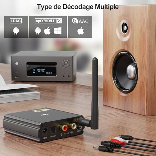 1Mii DS220 Recepteur Bluetooth Hi-Res pour Stéréo Domestique – vue 4