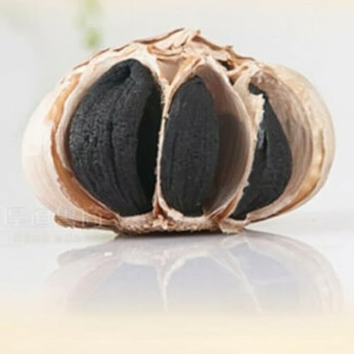 HELLOYOUNG 500 g/12 piezas de ajo negro orgánico fermentado 120 días para regular el equilibrio del azúcar en la sangre Cover