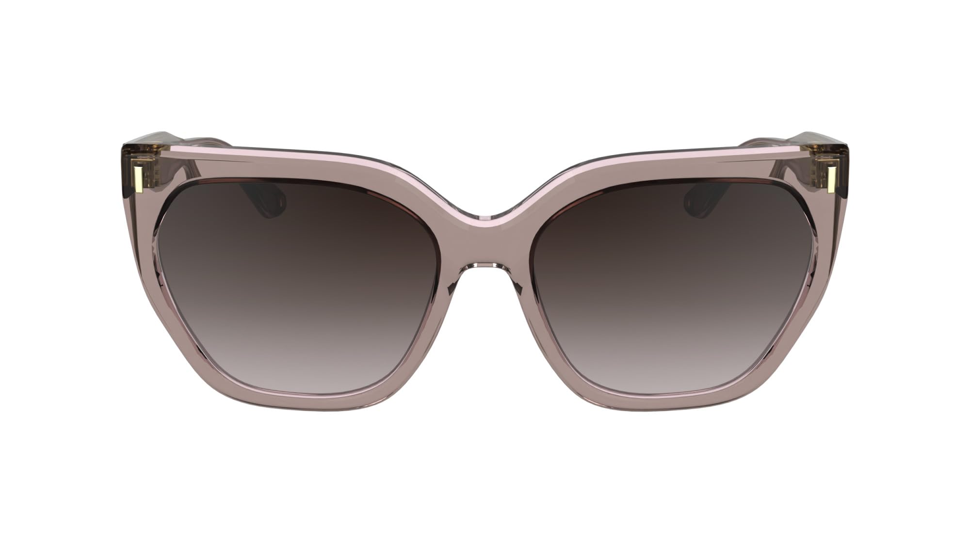 Calvin Klein Women's Sunglasses CK24535S - Nude with Gradient Brown Rose Lens