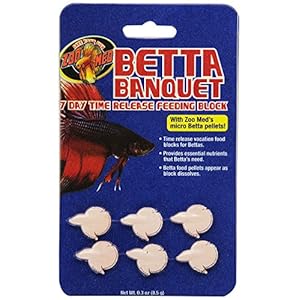 Zoo Med Laboratories AZMBB7 Betta Banquet Blocks