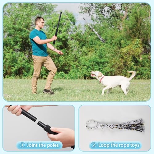 Flirt Pole Für Welpen Hunde,Interaktive Jagd und Zerrspielzeug Im Freien Hundespielzeug,Reizangel Chase Spielzeug mit Seil,Ianglebig Stick Pole für Hunde im Freien Agilität Übung & Hundetraining