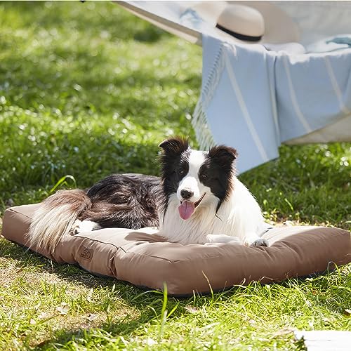 BEDSURE Hundekissen kleine Hunde waschbar - 76x50cm Hundebett wasserdicht M für kleine, mittelgroße Hunde gepolstert Hundematte Warmes Taupe in 10cm Höhe