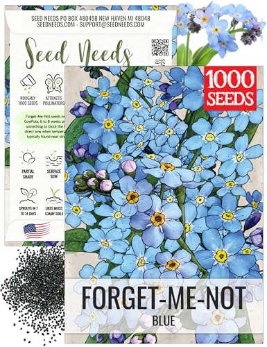 Seed Needs Forget Me Not Seeds to Plant Blue Annual Flowers 1 Pack