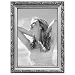 Malden International Designs Fashion Metals Bezel Wooden Picture Frame, 5x7, Silver
