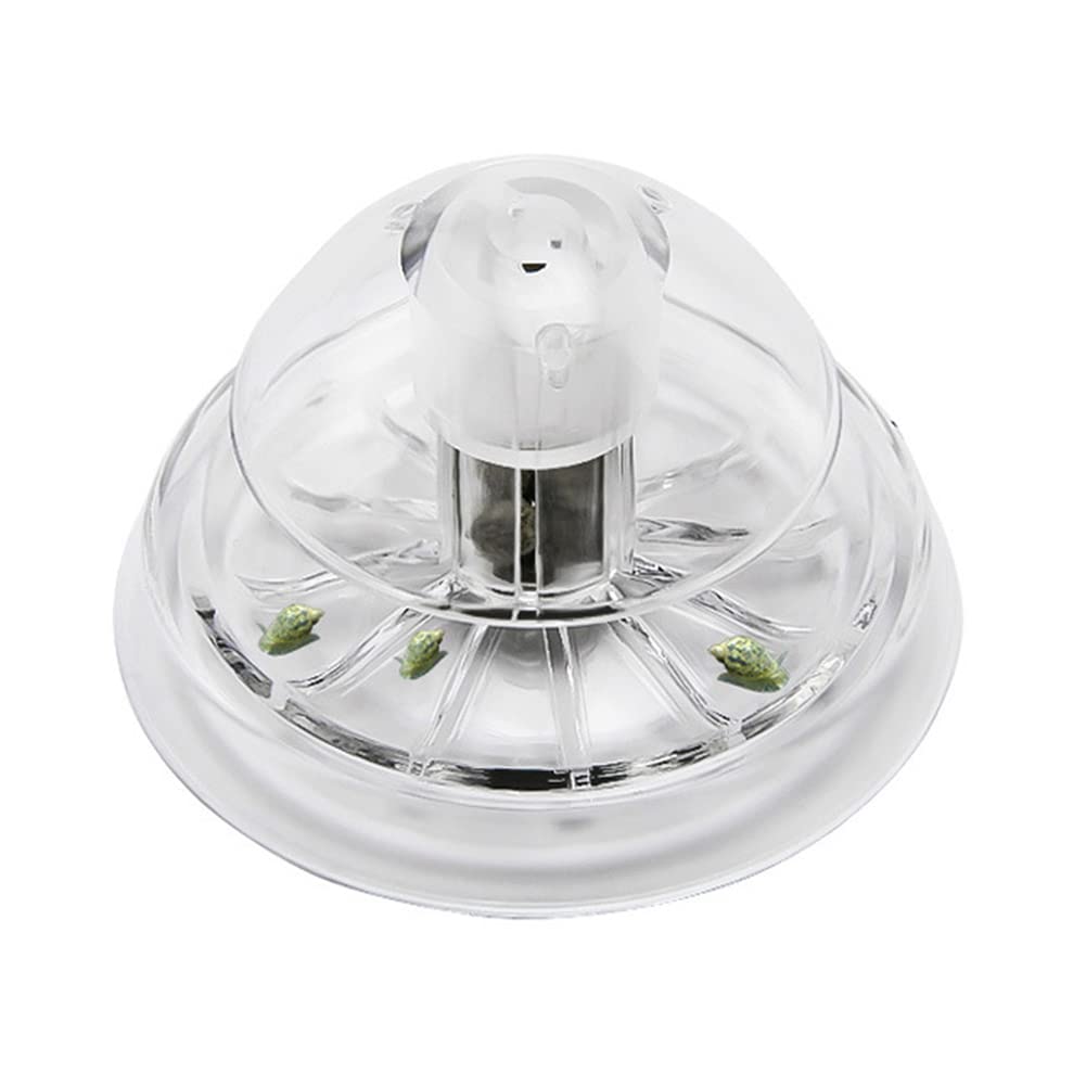 Rianpesn Transparent Snail Trap For Fish Tank - Aquarium Decor,Air Hole Design Aquarium Snail Trap Snail Box For Aquarium Fish Tank
