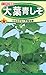 株式会社トーホク 大葉青しそ 01330
