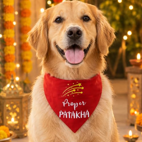 Image of Quirky Dog Bandana: Proper Patakha Bandana for Pets | Easy to Wear Slip On Dog Bandana