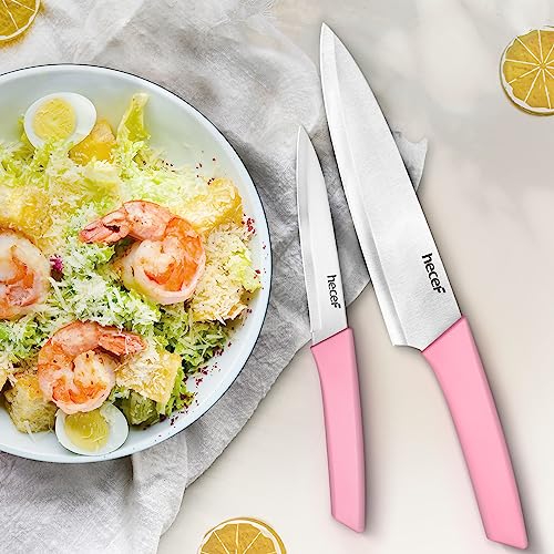 Hecef 12-Piece High Carbon Stainless Steel Knife Set with Wooden Block