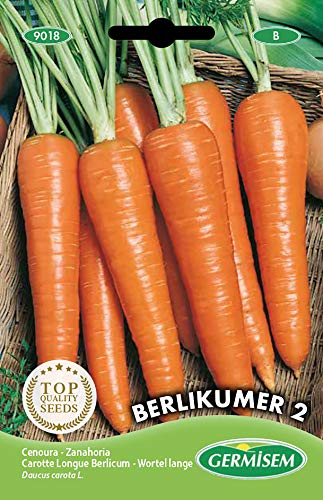 Germisem Berlikumer 2 Semillas de Zanahoria 10 g (EC9018)