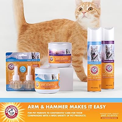 Arm & Hammer Pet Scents Gel Odor Eliminator, Baking Soda Deodorizer for Pet Rooms, Litter Box Areas, and Indoor Spaces, Long-Lasting Solid Gel Format, Fresh Breeze Scent, 15 Oz