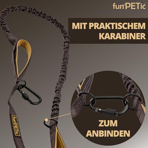 funPETic Hundeleine elastisch – Anbinden möglich, Zwei Griffe, reflektierend, für große und mittelgroße Hunde - braun
