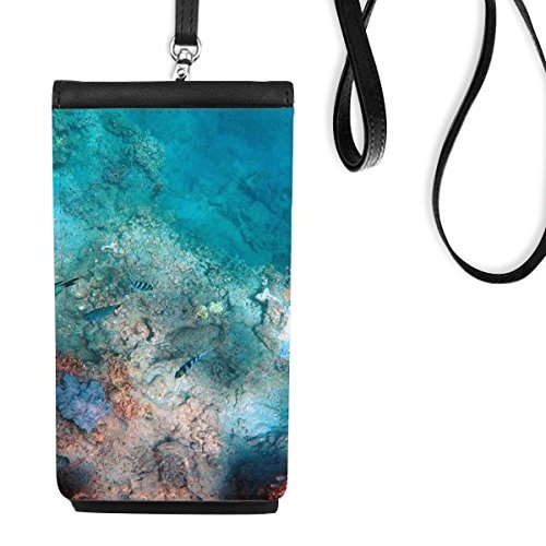 Cadeau poisson science photo bourse pour anniversaire et fêtes