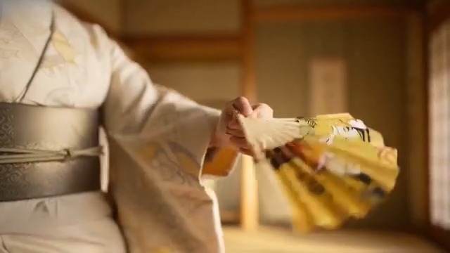 Amazon.co.jp: [pronala] 【50年の職人技】投扇興 セット（とうせん