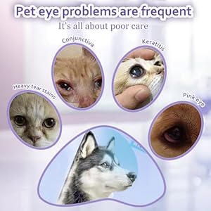 100 Counts Pet Dog Eye Wipes for Dogs  Cats Soft Gentle Tear Stain Remover Wipes Nonirritant Presoaked Eye Wash Pads Natural Unscented Pet Eye Wipes for Remove Tear Stain Eye Debris Discharge  Cucciolini Doodles 100 counts pet dog eye wipes for dogs  cats soft gentle tear stain remover wipes non irritant presoaked eye wash pads natural unscented pet eye wipes for remove tear stain eye debris discharge   cucciolini doodles