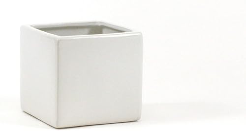 Miniatura 3 de Athena's Garden Arreglo de maceta de cerámica blanca de las suculentas de la planta viva de Hoya Kerrii 2 en forma de corazón