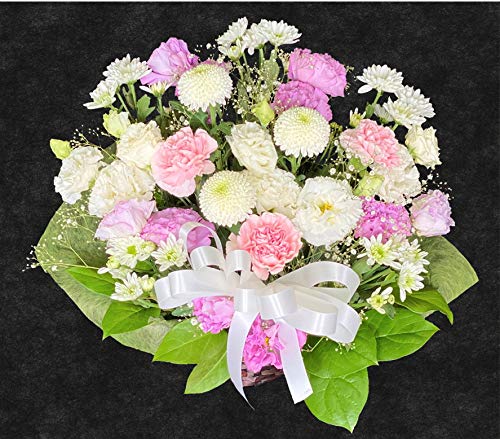 N[֔z ݂̉  Mtg  ybg AWg 䋟  AW  @  @v  O  (SȂ)