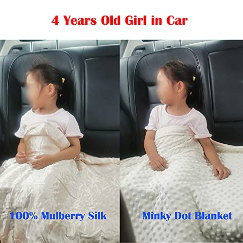 Image of Baby Soft Silk Blanket - 100% Mulberry Silk On One Layer with Minky Plush Dot Blanket Backing - Reversible Double Layer, Gift for Girls /Boys Best for Summer (28 x 40 inch, Champagne)