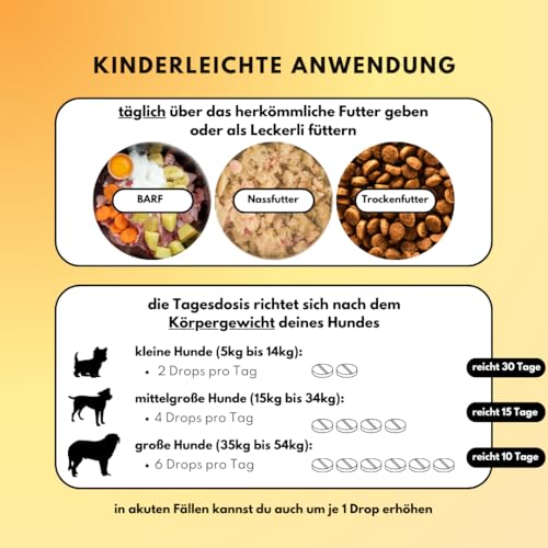 People who Kaer Darm Balance Drops für Hunde – mit Pro- & Präbiotika zur Unterstützung bei Sodbrennen, Gras- & Kotfressen, Analdrüsenproblemen, Durchfall & Darmsanierung – 180 Drops Made in Germany