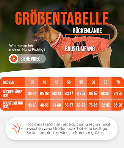 ZAUBERPFOTE® Hunderegenmantel London I Mit extra langem YKK® Reißverschluss für Halsband & Geschirr I Für kleine, mittlere & große Hunde I Wasserdicht & Maschinenwaschbar I Regenmantel für Hunde (50)