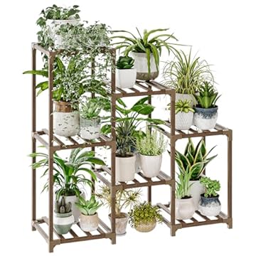 5 Plant Stands That Will Transform Your Indoor Space 2 plant stand for indoor plants