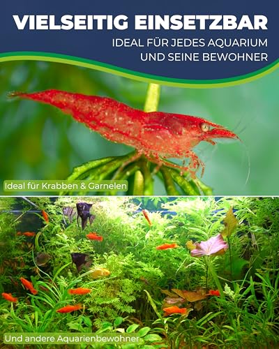 HOBBY Aquaristik Prawn Pyramid 4-3-2-1 dark I 6,5 x 5,5 x 5 cm I Brut- und Versteckhöhle aus gebranntem Ton für Krebse und Garnelen I Deko Höhle für Aquarienbewohner I Garnelenpyramide
