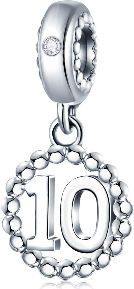 16,17,18,19,20,21,22,24,25,26,30,32,33,35,37,40,49,50,60,69,77,80,88,99 Number Charms 925 Sterling Silver Pendants Beads Fit Pandora Bracelets/Necklace, Dangling Dangle Charm for Birthday/Anniversary/Meaningful Numbers