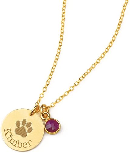 Paw Print Necklace with birthstone, personalized paw print necklace, pet necklace, in memory of dog, pet memorial jewelry memorial jewelry