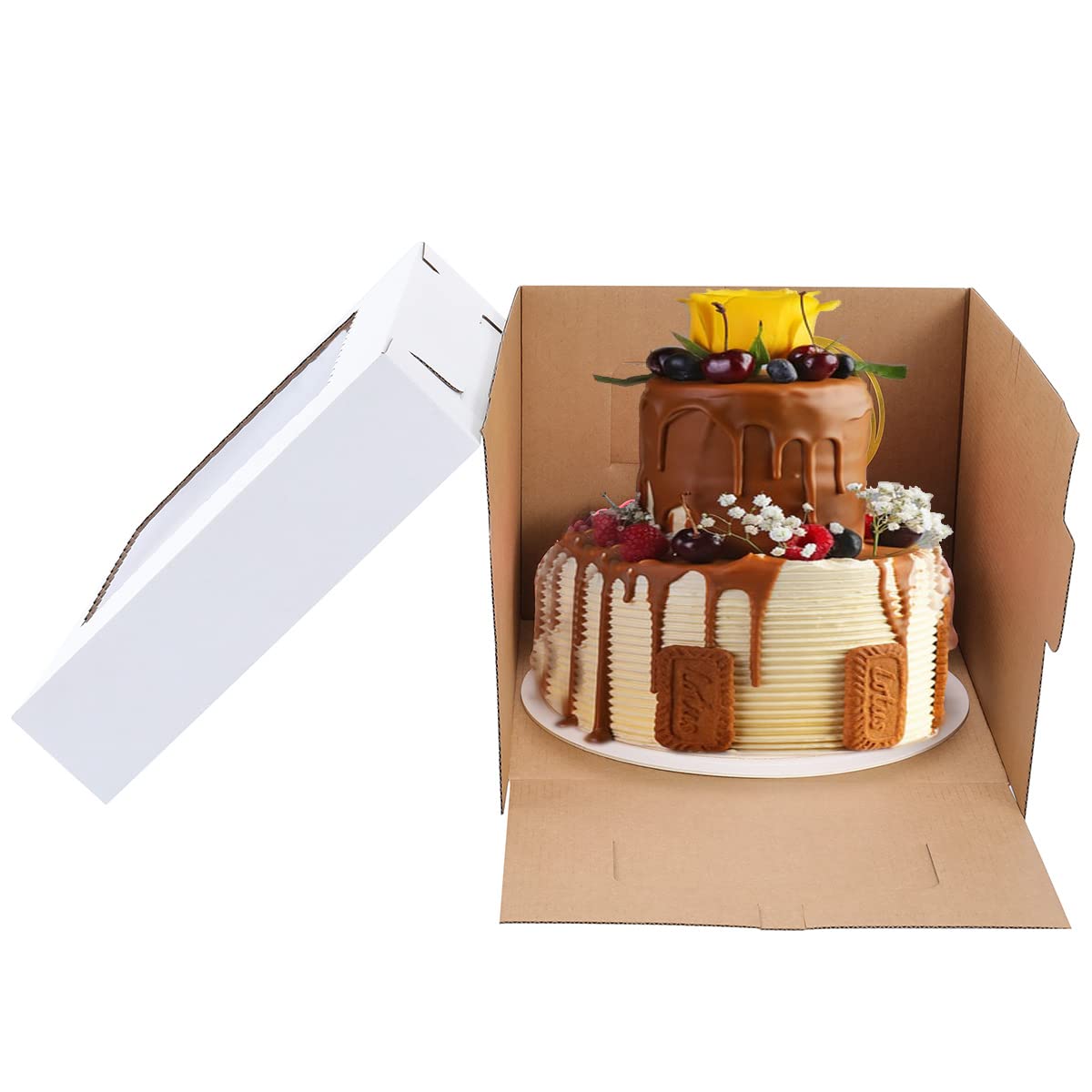 Cajas para pasteles de 12 x 12 x 10 pulgadas [10 unidades] Cajas de panadería blancas de alta calidad con ventana para pasteles de 10 pulgadas, recipientes desechables para pasteles