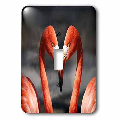 Interrupteur à baïonnette design flamant rose pour mur terne