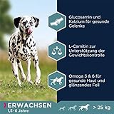 Eukanuba Hundefutter mit Lachs & Gerste für große Rassen - Trockenfutter für ausgewachsene Hunde, 12 kg