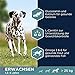 Eukanuba Hundefutter mit Lachs & Gerste für große Rassen - Trockenfutter für ausgewachsene Hunde, 12 kg