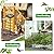 YALINKA 58In Freestanding Birdbaths Bowl Outdoor, Standing Garden Bird Bath Feeder Bowl with 3 Bird Statues, Birdbath & Birdfeeder with Metal Stake Garden Yard Lawn Decor (Black)
