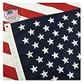 Grace Alley American Flag 3x5, Made in the USA, Outdoor UV Fade Resistant, Waterproof, Vibrant Color, Long Lasting Polyester Cotton Blend with Brass Grommets