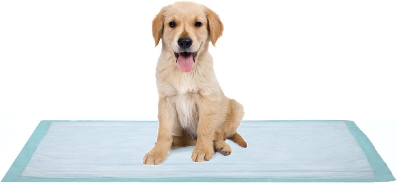 Holiday Deals 🛒 Extra Large Disposable Incontinence Bed Pad 10 Count (Size 36 x 36 Inch) - Hospital Underpad with Incontinence Protection for Adult, Child, or Pets - Absorbent Waterproof Chux by BrightCare