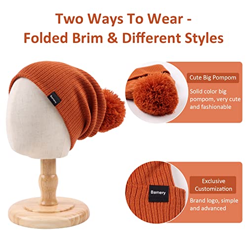 Baby Boy Dinosaur Hat Toddler Boys Winter Knitted Beanie Cute Pompom Hats for Kids4