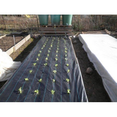Bobina Plastico Negro Agricola Perforado 4M G/400 | Bobina Film 150M Polietileno, Resistente | Perforaciones 30 x 30 cm, Cultivo de Lechugas, Hortalizas | Para Agricultura y Campo