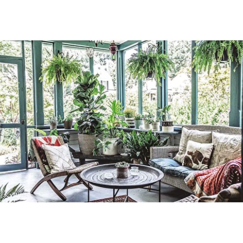 La Giungla In Casa - 2