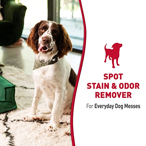 Image of Nature's Miracle Stain & Odor Remover, Tough on Dog Urine, Feces, Vomit, Drool and Other Organic Stains and Odors, 170 fl oz Refill