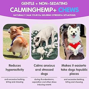Hemp Calming Chews for Dogs, 150 Soft Dog Calming Treats, Dog Calming Treats with Hemp Oil, Dog Anxiety Relief, Storms, Separation, Barking, Stress Relief for All Breeds & Sizes – Chicken Flavored