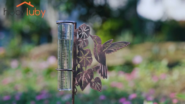 置物 Beautiful Rain Amazon.com : Fox Valley Traders Graceful Rain Gauge, Sturdy