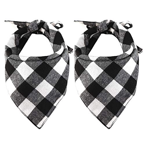 Best Sellers The most popular items in Clothing