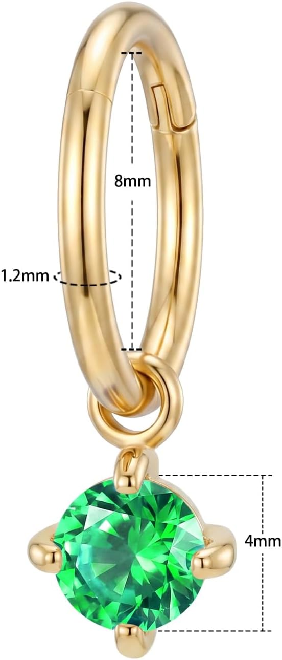 Ourania 2PCS 16G Zircon Dangle Huggie Hoop Rook Piercing Ring Surgical Steel Clicker Helix Rook Earring Tragus Cartilage Piercing Hoop Jewelry for Women Men